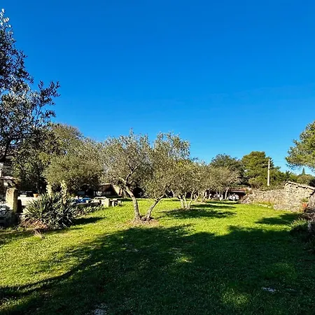 Au Mas Hebrard - Oliveraie Provencale * Nîmes