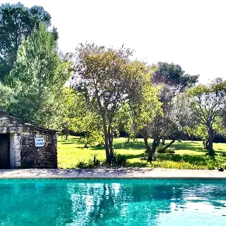 Au Mas Hebrard - Oliveraie Provencale Villa Nîmes